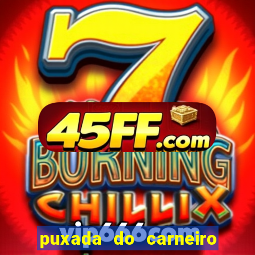 puxada do carneiro no jogo do bicho